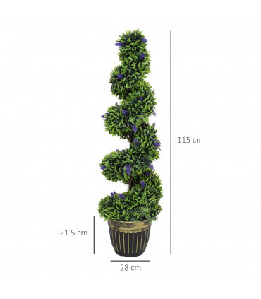 Elegant Spiral Boxwood & Lavender Plant Set – Low Maintenance Decor