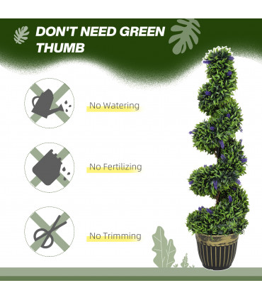 Elegant Spiral Boxwood & Lavender Plant Set – Low Maintenance Decor