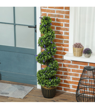 Elegant Spiral Boxwood & Lavender Plant Set – Low Maintenance Decor