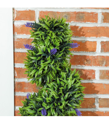Elegant Spiral Boxwood & Lavender Plant Set – Low Maintenance Decor