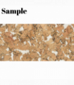 Decorative Cork Wall Tiles - Beige - Sample - 1 Strip