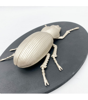 33CM INSECT WALL DECOR ON WOOD BOARD