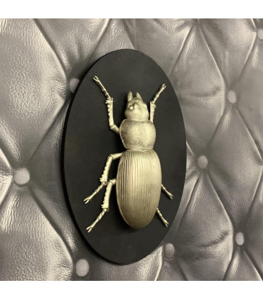 33CM INSECT WALL DECOR ON WOOD BOARD