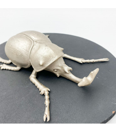 33CM INSECT WALL DECOR ON WOOD BOARD