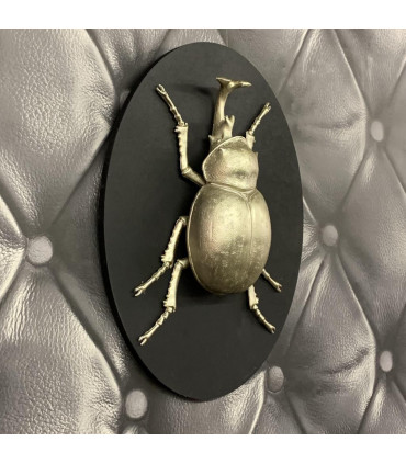 33CM INSECT WALL DECOR ON WOOD BOARD