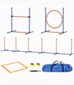 Dog agility training equipment