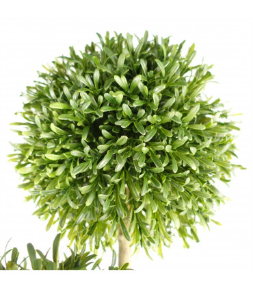 Topiary Balls UV Resistant