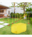 Dog agility training equipment