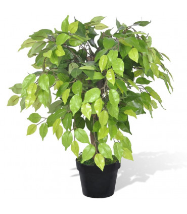 Artificial Dwarf Ficus with Pot 60 cm