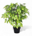 Artificial Dwarf Ficus with Pot 60 cm