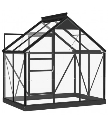 Glass Greenhouse Anthracite 155x103x191 cm Aluminium