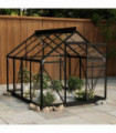 Glass Greenhouse Anthracite 155x200.5x191 cm Aluminium
