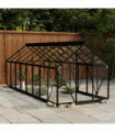 Glass Greenhouse Anthracite 155x395.5x191 cm Aluminium