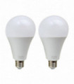2 Pack 25W E27 Screw LED Light GLS bulbs, Energy Saving Edison  Cool White 6000K non dimmable lights