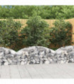 Arched Gabion Basket 150x50x40/60 cm Galvanised Iron