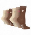 6PK - Embroidered Crew Socks (4-8 / Seashells)