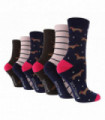 6PK - Wildfeet Novelty Jacquard Socks (4-8 / Dashchund)