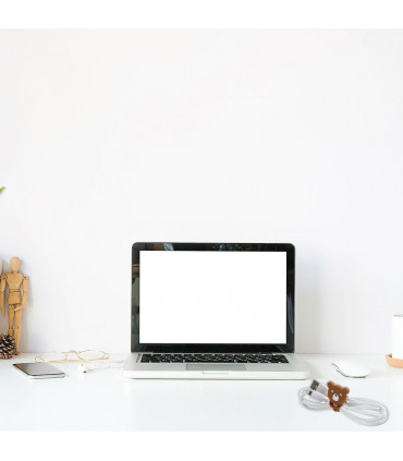 Aquarius, Cartoon Cord Cable Organiser, Panda, Coffee