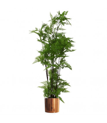 Metal Planter Plant Pot with Polished Copper Finish 20 x 18cm