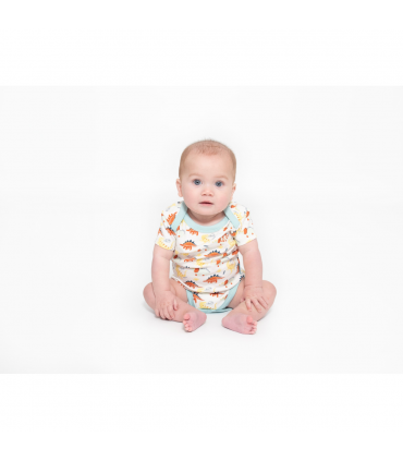 2 pack vest set - dinosaur print