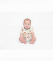 2 pack vest set - dinosaur print