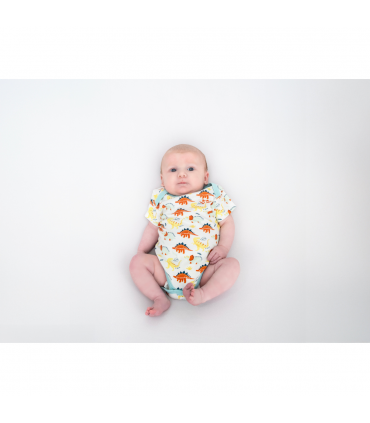 2 pack vest set - dinosaur print