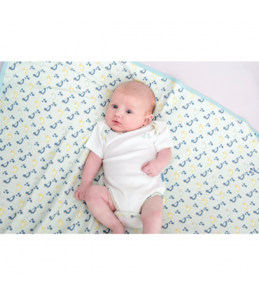 2 pack vest set - boys duck print