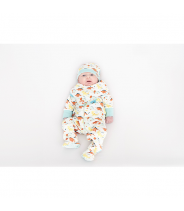 Baby grow dino print