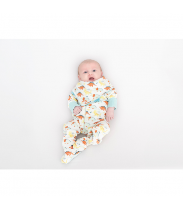 Baby grow dino print