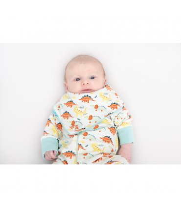 Baby grow dino print