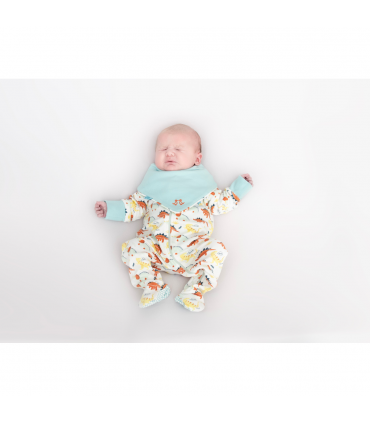 Baby grow dino print