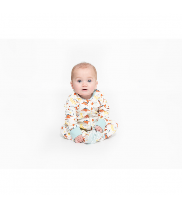 Baby grow dino print