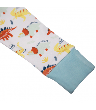 Baby grow dino print