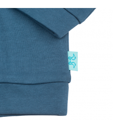 Blue Pull On Organic Cotton Hoodie