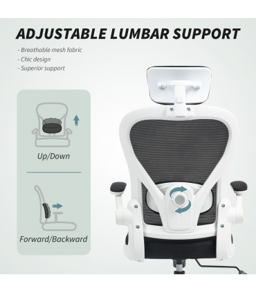 HOMCOM Executive Mesh Office Chair with Headrest, Lumbar Support, Black