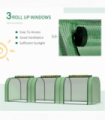 Mini Greenhouse
