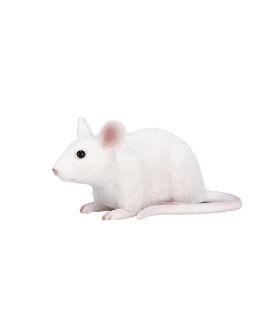 Mouse Toy  Realistic Small Animal Figurine