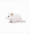 Mouse Toy  Realistic Small Animal Figurine