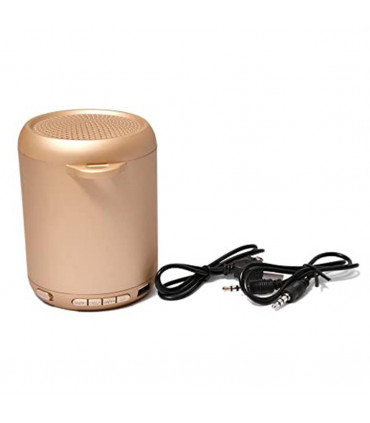 NBY Small Sound Activate LED Light Bluetooth Speaker And Dancing Fountain, Gold