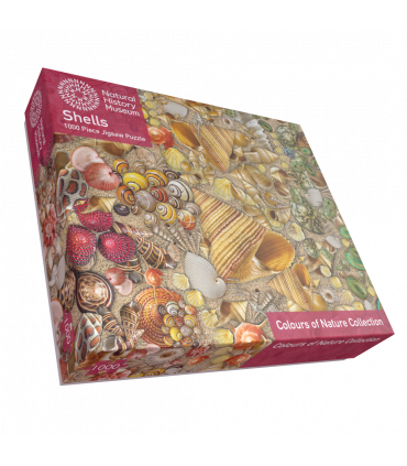 Natural History Museum - Shells 1000 Piece Jigsaw Puzzle