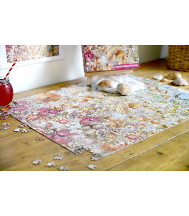 Natural History Museum - Shells 1000 Piece Jigsaw Puzzle