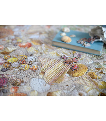 Natural History Museum - Shells 1000 Piece Jigsaw Puzzle