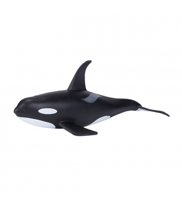 Orca Male Toy  Realistic Marine Mammal Model