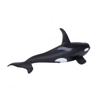Orca Male Toy  Realistic Marine Mammal Model