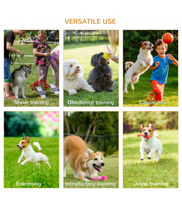 Outdoor 4 PCs Dog Pet Agility Training Equipment Backyard Starter Course Set