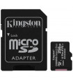 Kingston Canvas Select Plus MicroSD (SD Adapter Included)- 256GB