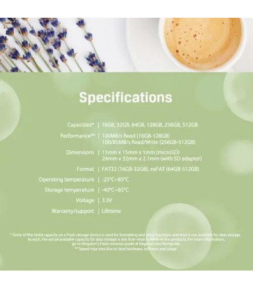 Kingston Canvas Select Plus MicroSD (SD Adapter Included)- 256GB