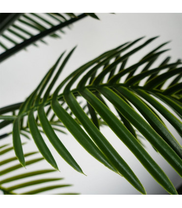 125cm UV Resistant Raphis Palm Tree with Natural Trunk