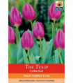 Tulip 'Purple Flag' (6 Bulbs)