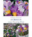 Crocus Large Flowering Mixed (8 Bulbs)